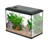 Aquarium Poisson Initio 40cm Noir - Zolux