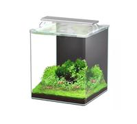 Aquarium Poisson Kubus Curve 30l Essential Avec Bio Filter Et Led - Aquatlantis