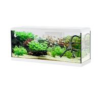 Aquarium poisson Tana LED 100cm blanc - Zolux Blanc