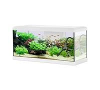 Aquarium Poisson Tana Led 80cm Blanc - Zolux