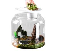 Aquarium pour tortues aquatiques - Réservoir panoramique pour tortues avec couvercle amovible pour la maison et les magasins (transparent)