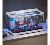 Aquarium Rectangulaire De Bureau, Alimentation en Oxygène Lumière LED pour La Maison, Le Bureau, Le Salon(XL)