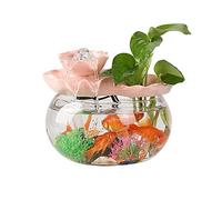 Aquarium Réservoir de Poissons à Circulation d'eau créative, fenêtre en Verre, Bureau, Petit Aquarium doré, décoration d'aménagement paysager, Ornements Bocal Poisson(7.48IN)