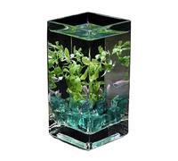 Aquarium Réservoir de Poissons carré en Verre translucide, avec Couvercle, réservoir de Poissons tropicaux, Vase hydroponique, récipient à Fleurs, Petit Aquarium de Bureau Bac à Poisson(12x12x25cm)