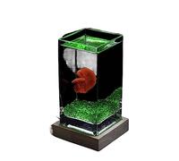 Aquarium Réservoir de poissons carré hautement translucide, réservoir de poissons de combat avec Base en bois, réservoir de poissons tropicaux en verre épais, petit aquarium de bureau Bac à Poisson(Gr