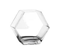 Aquarium Réservoir de Poissons en Verre Transparent épais, décoratif de Bureau, Bol de Poisson Rouge créatif, Vase en Verre Bac à Poisson(25x12.5x22.5cm)