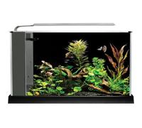 Aquarium Spec V - FLUVAL - 19 L - Noir