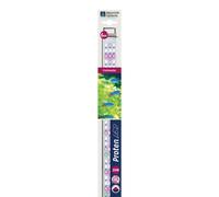 Aquarium Systems Proten LED Light Bar Eau Douce 20W (600-900Mm) Lampe Aquarium