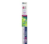Aquarium Systems Proten LED Bar Lampe pour Aquariophilie Freshwater 450 mm