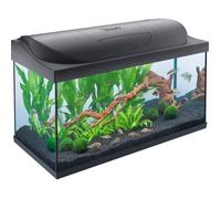 Aquarium TETRA Starter Line LED 105 L noir (Eclairage LED diurne et nocturne, filtre EasyCrystal, Chauffage de 100 watts)