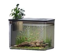 Aquarium transparent avec couvercle sûr et support pour plantes d'eau pour poissons dorés Décoration de bureau d'aquariums