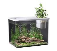 Aquarium transparent avec couvercle sûr et support pour plantes d'eau pour poissons dorés Décoration de bureau d'aquariums