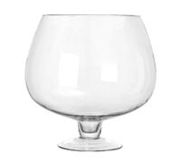 Aquarium Vase en Verre Transparent, Format Compact, Design Moderne | Forme Gobelet Élégante, 1 Pièce, Surface Lisse et Haute Transparence, pour Bureau et Jardin
