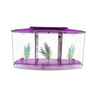 Aquarium violet à trois compartiments avec lumières LED bleues et blanches, mini boîte d'isolation de bureau en plastique léger pour poissons Betta, crabes ermites, décoration de bureau à domicile