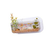 Aquariums muraux à suspendre pour animaux de compagnie avec récipient de jardinage pour plantes hydroponiques décoration d'intérieur