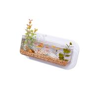 Aquariums muraux à suspendre pour animaux de compagnie avec récipient de jardinage pour plantes hydroponiques décoration d'intérieur