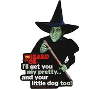 AQUARIUS Magicien d'Oz - Aimant Wicked Witch of The West