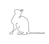 AQUARUPELLA-Affiche illustration noir et blanc Aquarupella Chat - 30 x 40 cm