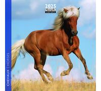 AQUARUPELLA-Calendrier 2025 chevaux coloris multicolore Aquarupella - 16,5 x 16,5 cm
