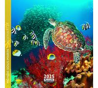 AQUARUPELLA-Calendrier 2025 monde sous-marin coloris multicolore Aquarupella - 16,5 x 16,5 cm