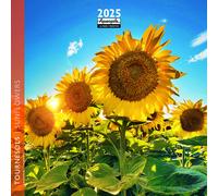 AQUARUPELLA-Calendrier 2025 tournesol coloris multicolore Aquarupella - 16,5 x 16,5 cm