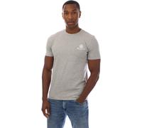 Aquascutum Logo T-Shirt Gris clair/Blanc Large Male