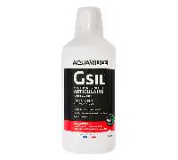 Aquasilice GSIL Monomethyl Articulaire Solution Buvable 1L