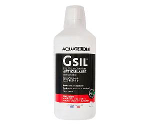Aquasilice GSIL Monomethyl Articulaire Solution Buvable 1L
