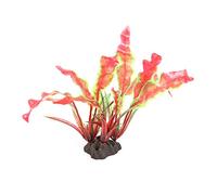 Aquatlantis Aqua Decor Red Crypto Plant