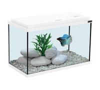 AQUATLANTIS-Aquarium coloris blanc 20L - 40 x 20 x 25 cm