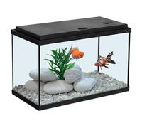 AQUATLANTIS-Aquarium coloris noir 20L - 40 x 20 x 25 cm