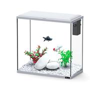 AQUATLANTIS-Aquarium d'eau froide et d'eau douce coloris gris Aquatlantis Explorer Dublin - H 40 x P 20 x L 40 cm