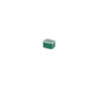 AQUATLANTIS-Mousse filtrante anti-algues pour aquarium coloris vert Aquatlantis Cleanwater - Taille S