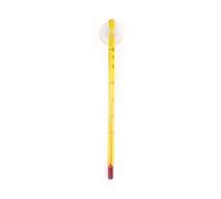 AQUATLANTIS-Thermomètre à ventouses pour aquarium coloris transparent en verre Aquatlantis