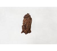 AQUAVIE-Décor pour aquarium coloris marron racine Mangrove MS Aquavie - 25 à 40 cm