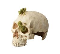 AQUAVIE-Décor pour terrarium en synthétique coloris blanc Aquavie crâne et grenouilles - 16,5 x 12 x 13 cm