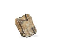 AQUAVIE-Pierre décorative pour aquarium coloris marron Aquavie bois fossilisé - Taille S