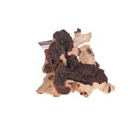 AQUAVIE-Racine décorative pour aquarium ou terrarium coloris marron Aquavie Mopani - Taille MM+