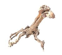 AQUAVIE-Racine Mopavigne pour aquarium et terrarium - Taille S