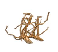 AQUAVIE-Racine Vigne rare rouge, 10-20 cm