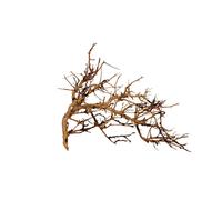 AQUAVIE-Vigne pour aquarium ou terrarium coloris marron Aquavie Broussa - 10 à 30 cm