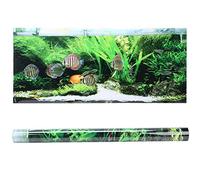 aqxreight Affiche Adhésive de Fond d'aquarium en PVC, Décoration de Poisson, Conception de Petites Plantes à Poissons, 91x50cm, Ne Se Décolore Pas (61 * 30CM)