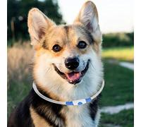 aqxreight Collier d'éclairage Lumineux LED Rechargeable pour Chien avec Un Câble de Chargement USB BLUEUX NOS Mes Besoins. Collardog LED Éclairage Collardog Collarog (S)