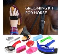 aqxreight Ensemble d'outils de Toilettage 10 en 1 pour Chevaux, Kit de Nettoyage, Peigne de Queue de Crinière, Brosse à Curry, Grattoir à Sueur, Peigne à Sabot, épurateur de Queue de Sabot,