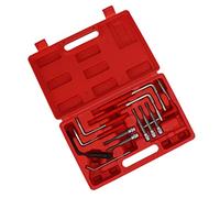 aqxreight Ensemble d'outils d'élimination Dubag 12PCS pour les Réparations et l'entretien des Voitures sans Effort