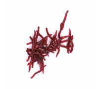 aqxreight Leurre de Pêche 4 Cm en Plastique Souple Appât de Ver de Terre 200 Pièces Action de Natation Artificielle pour Bar Carpe Eau Salée Eau Douce (100 pièces par Paquet)