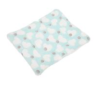 aqxreight Pad FLUCE Hamster Cozy pour Le RÉFORME d'hiver SORME SOUPELLE pour HAMTETRES Lapins et Chinchillas (Aime Le Vert)
