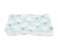 aqxreight Pad FLUCE Hamster Cozy pour Le RÉFORME d'hiver SORME SOUPELLE pour HAMTETRES Lapins et Chinchillas (Aime Le Vert)