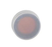 aqxreight Panoute Prism Remplacement Verre Optique 1 Pouce de Diamètre Abs Cover Prism d'arachide pour la Gare Total Station Terre Equipé Protectrice et Que Le Verre de Prisme et usé Est la