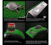 aqxreight Rampe Planage de la Tortue Rample de Reptile Échelle Reposant Terrasse pour Aquarium Fish Les Rampes de de à Haute Teneur (M Size)